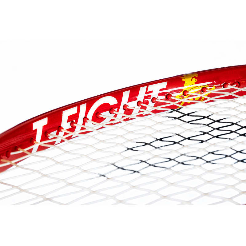 Tecnifibre T-Fight Spring Festival 300G