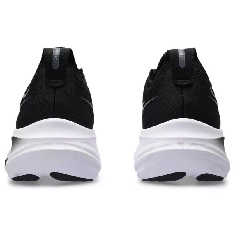 Pegasus 2025 vs nimbus