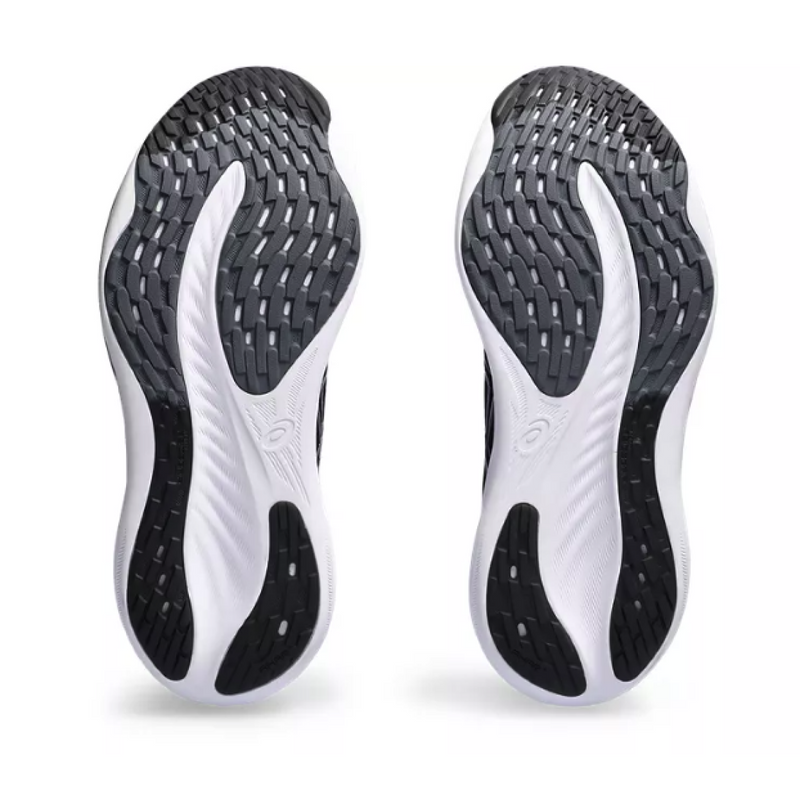 Pegasus 2025 vs nimbus