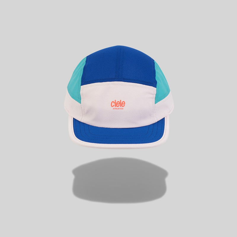 ALZCap PI001 A1
