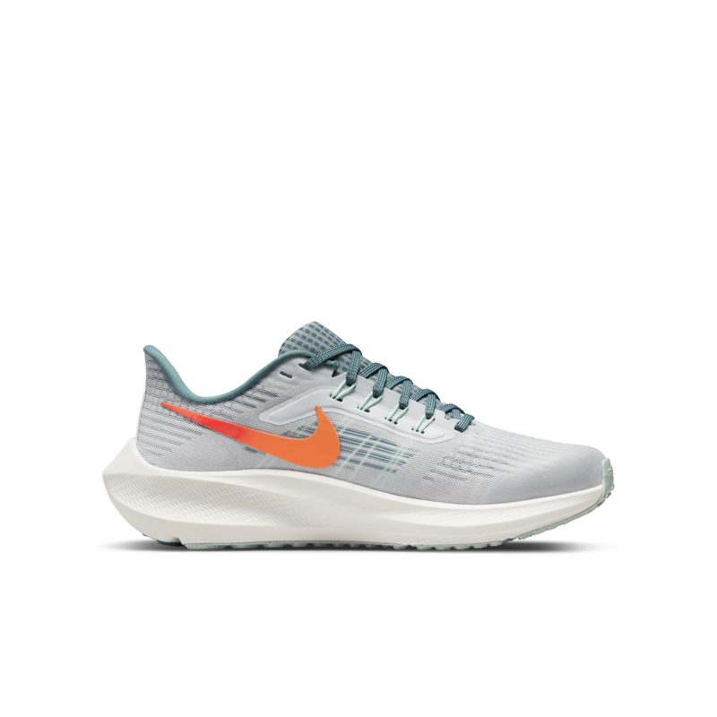 6pm sales nike pegasus