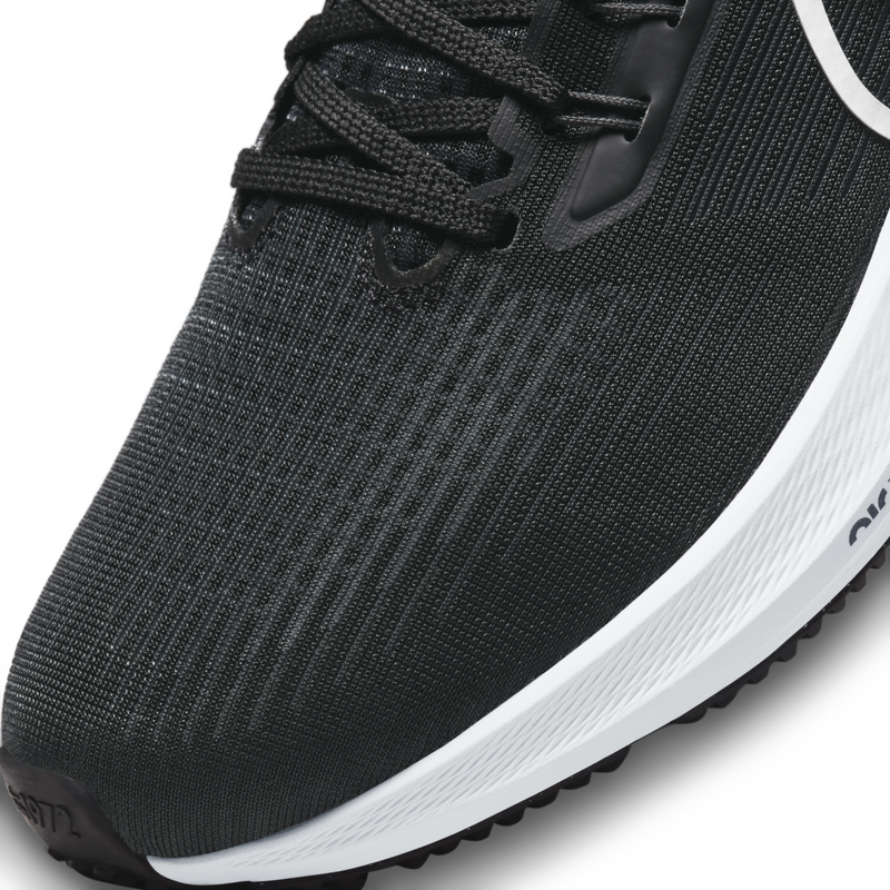 Nike 2025 black pegasus
