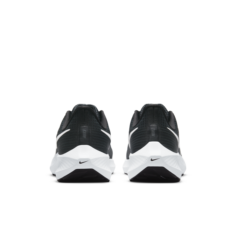 M Peg 39 001 F6