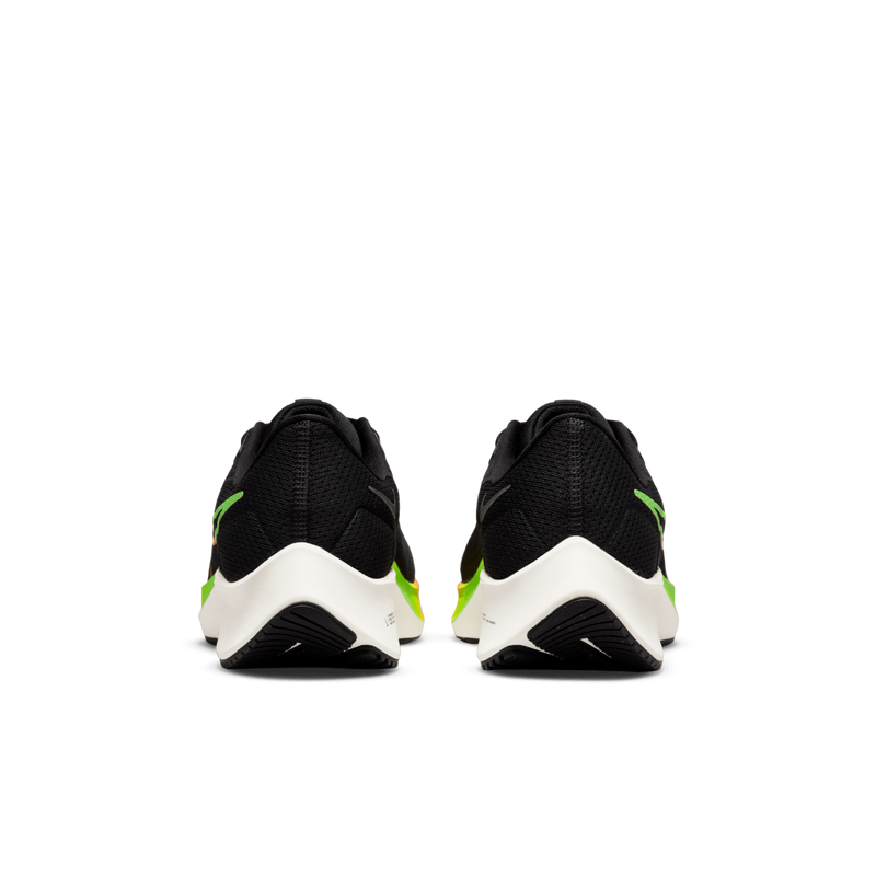 M Pegasus 010 D4