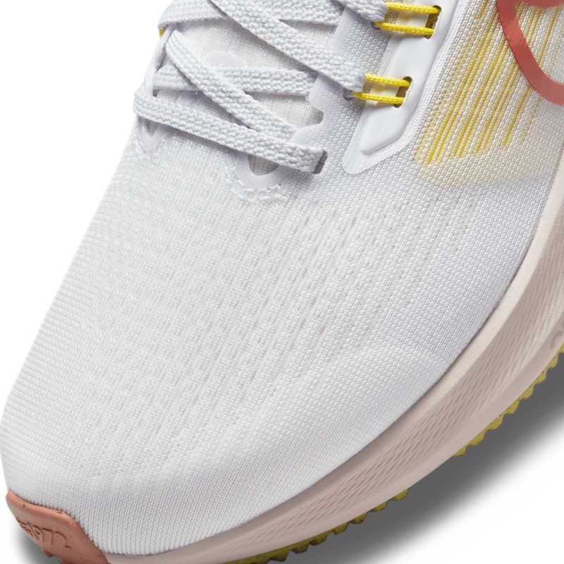 W Pegasus 39 501 E5