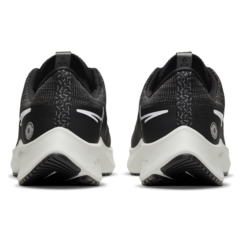 W Pegasus Shield 001 D4